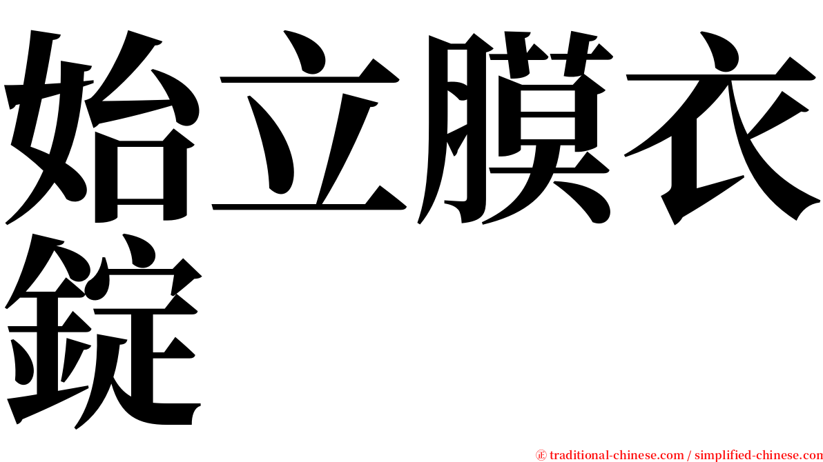 始立膜衣錠 serif font