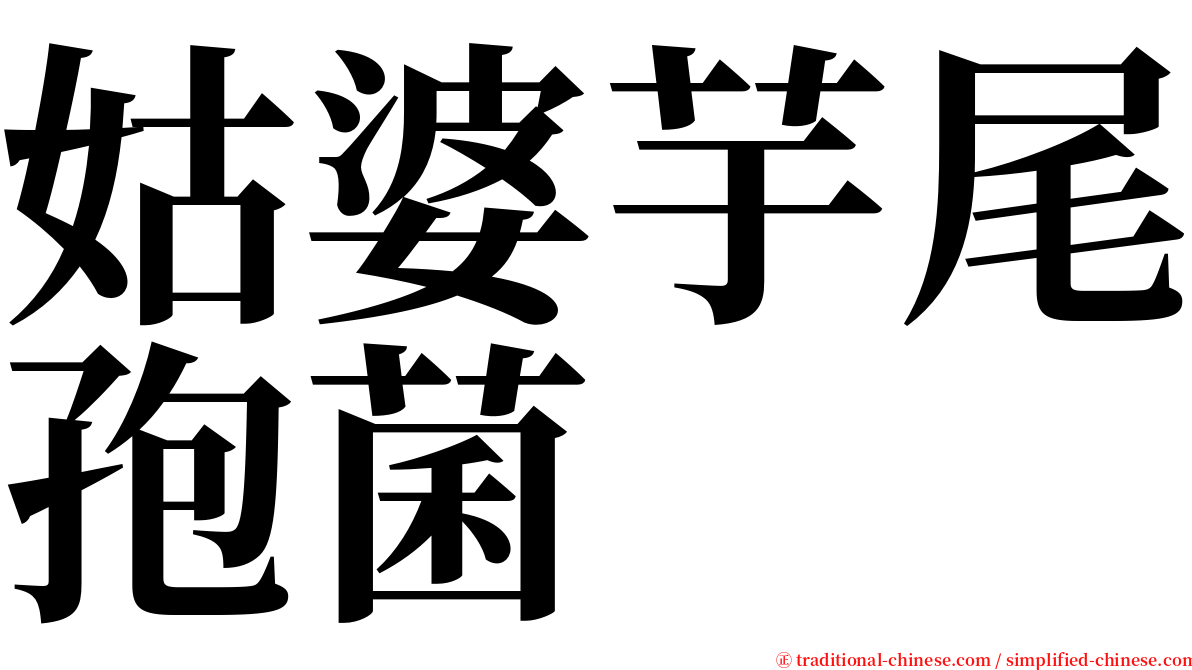 姑婆芋尾孢菌 serif font
