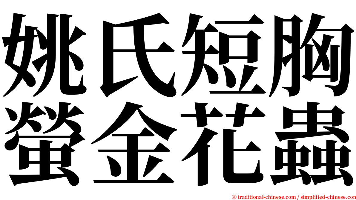 姚氏短胸螢金花蟲 serif font