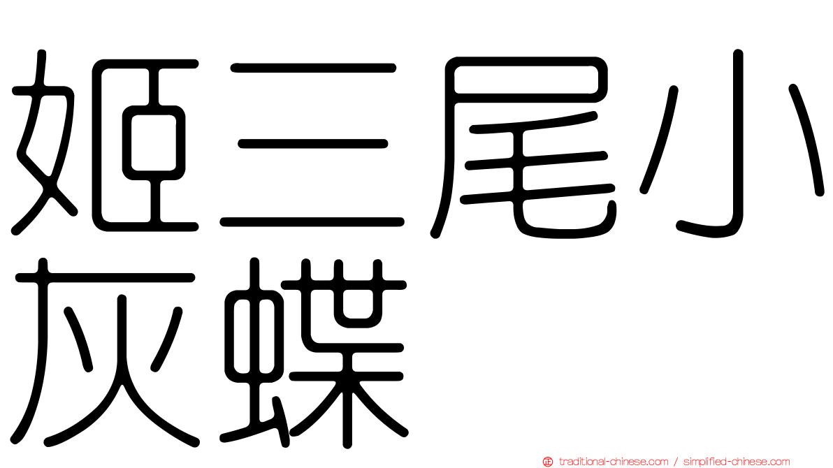 姬三尾小灰蝶