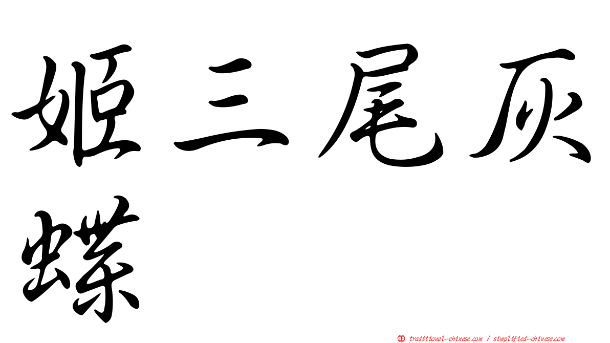 姬三尾灰蝶