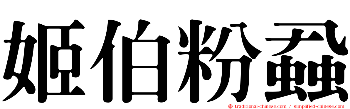姬伯粉蝨