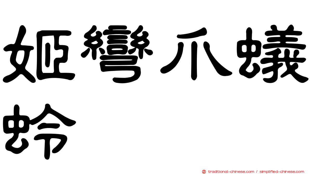 姬彎爪蟻蛉