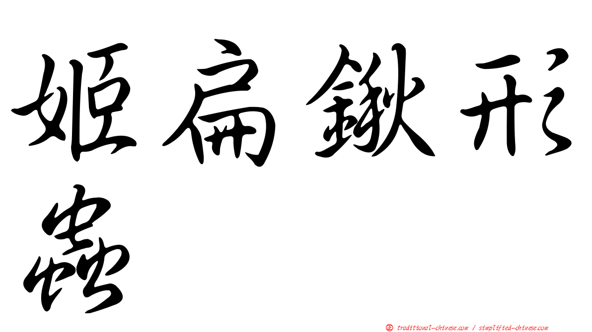 姬扁鍬形蟲