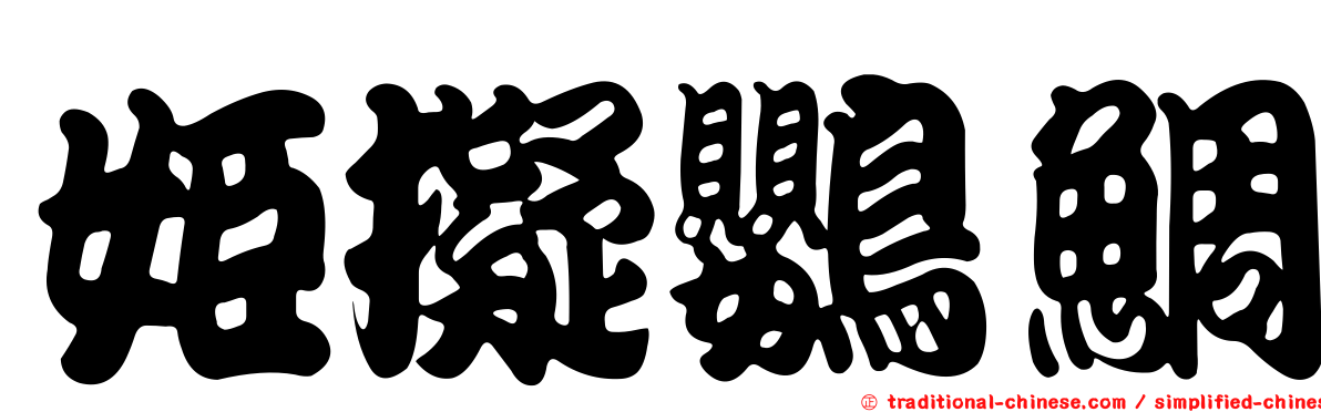 姬擬鸚鯛
