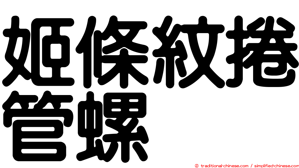 姬條紋捲管螺