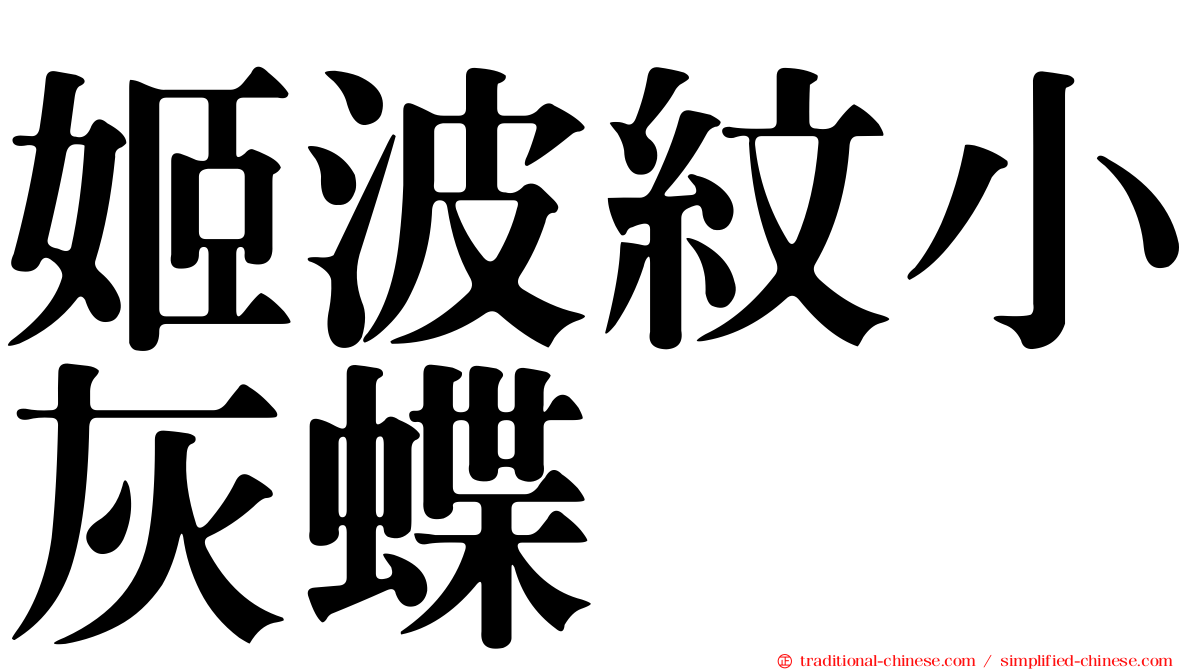 姬波紋小灰蝶