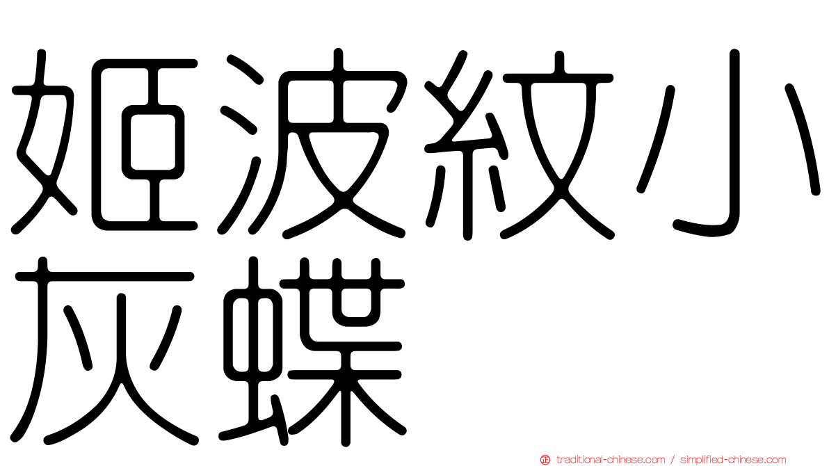 姬波紋小灰蝶