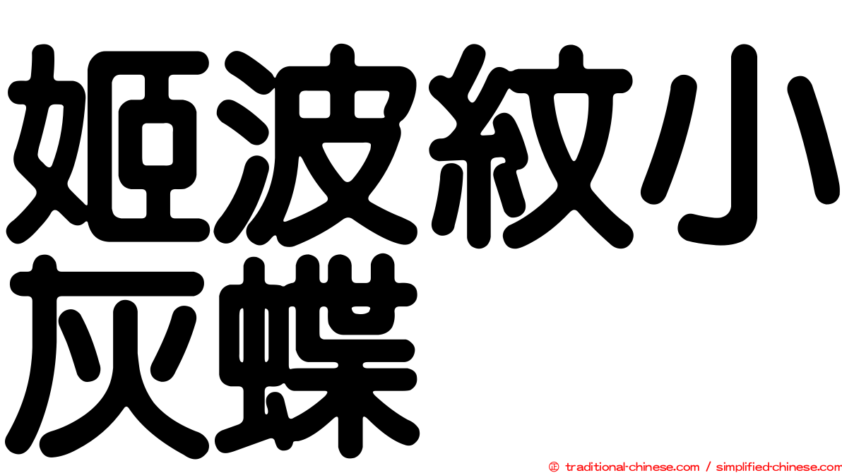 姬波紋小灰蝶