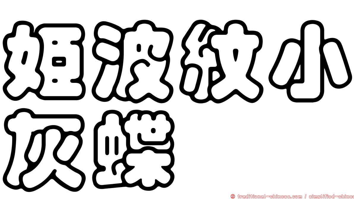 姬波紋小灰蝶