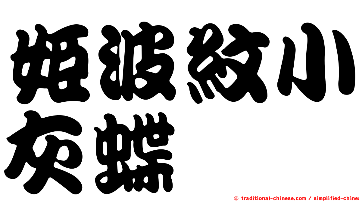 姬波紋小灰蝶