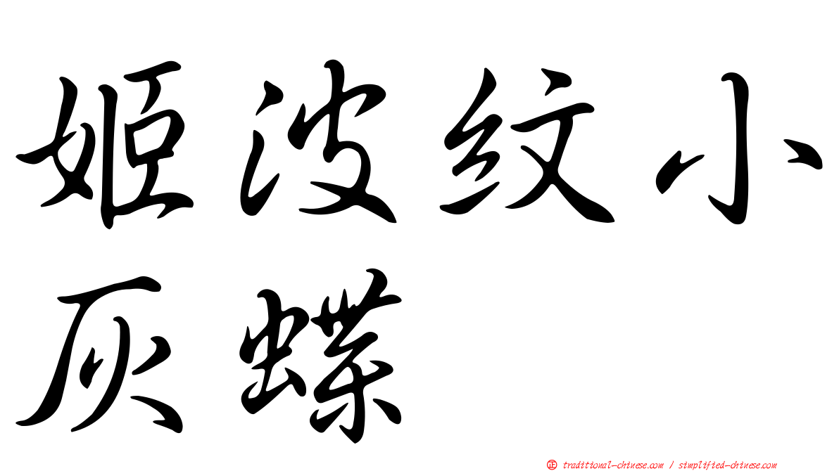 姬波紋小灰蝶
