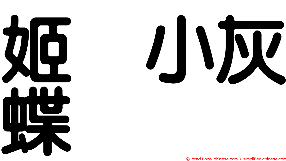 姬烏小灰蝶