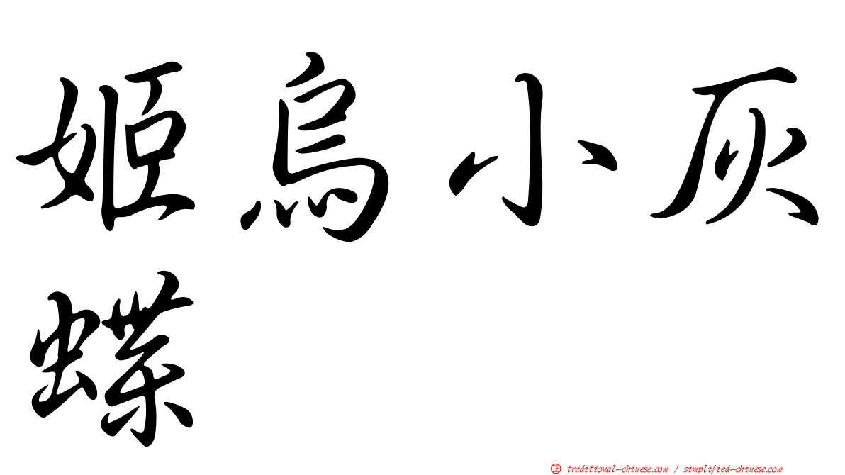 姬烏小灰蝶