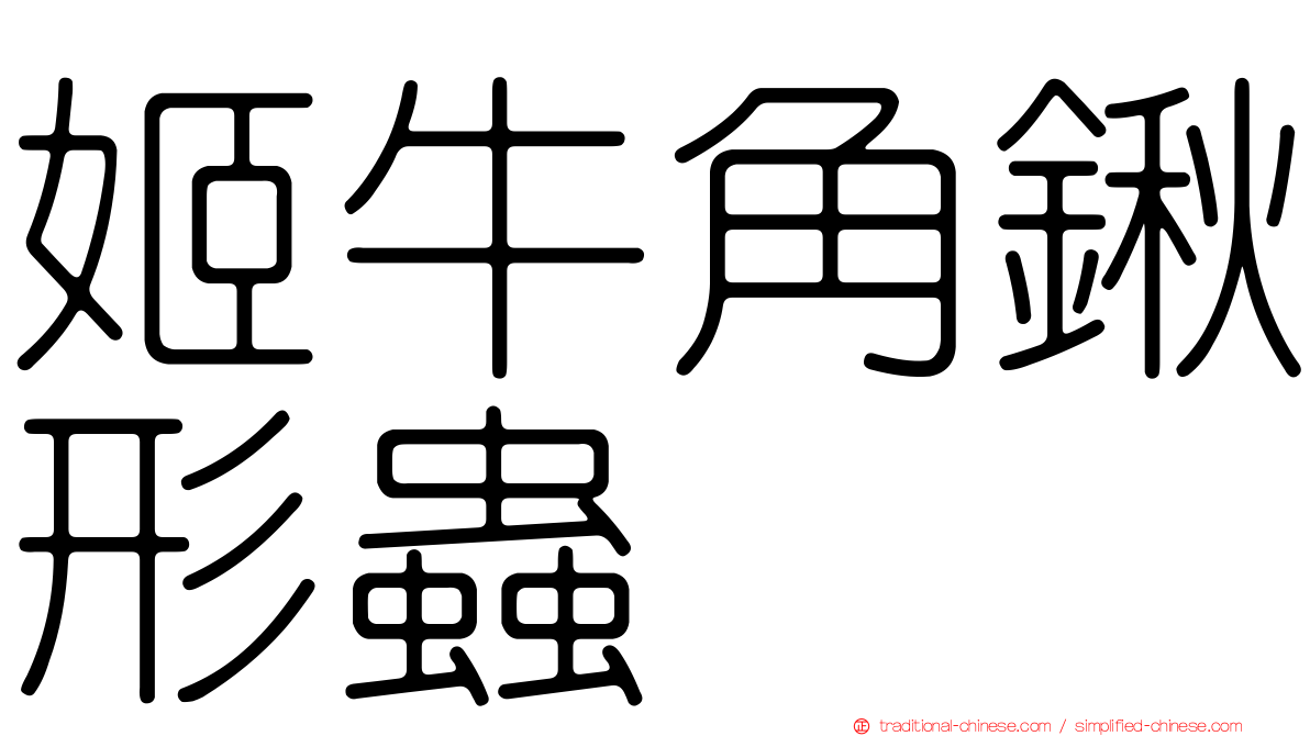 姬牛角鍬形蟲