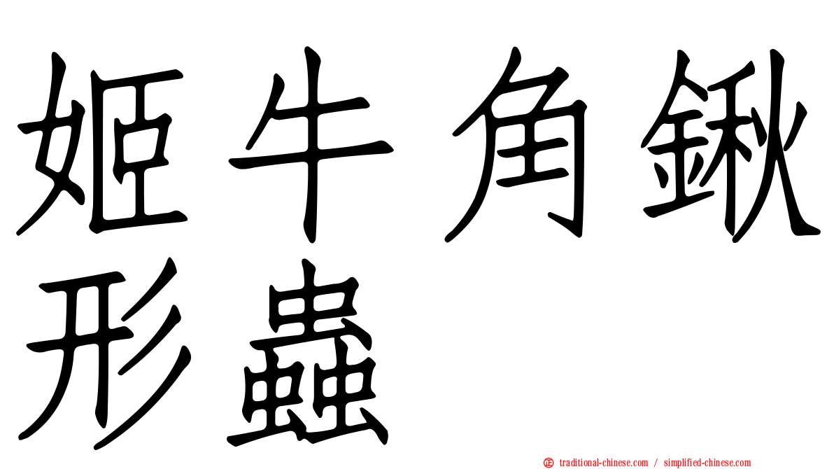 姬牛角鍬形蟲