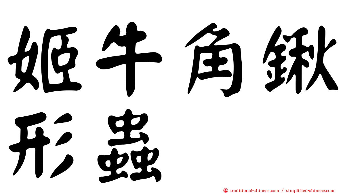 姬牛角鍬形蟲