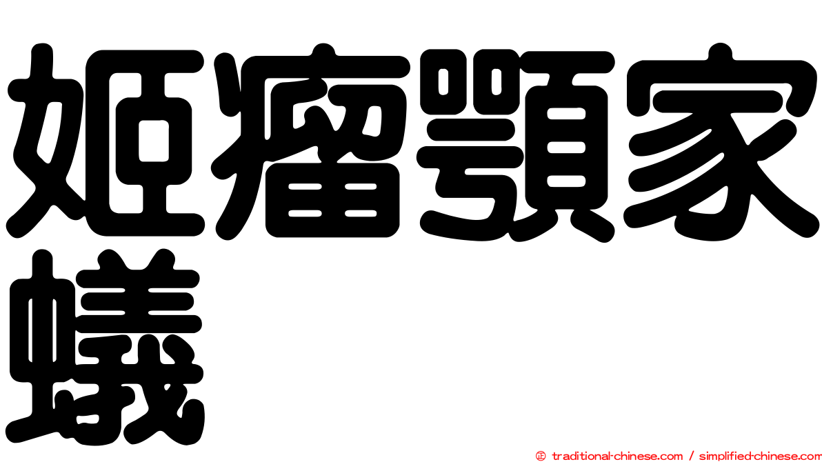 姬瘤顎家蟻