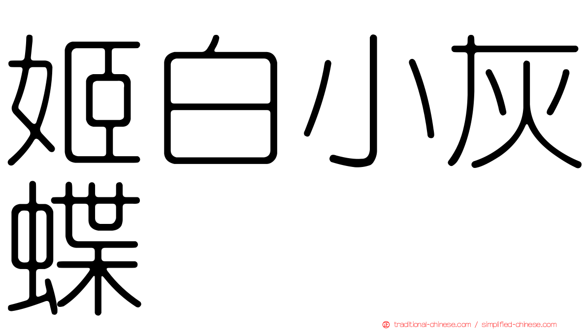 姬白小灰蝶