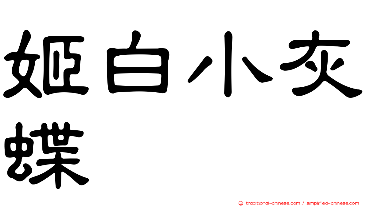 姬白小灰蝶
