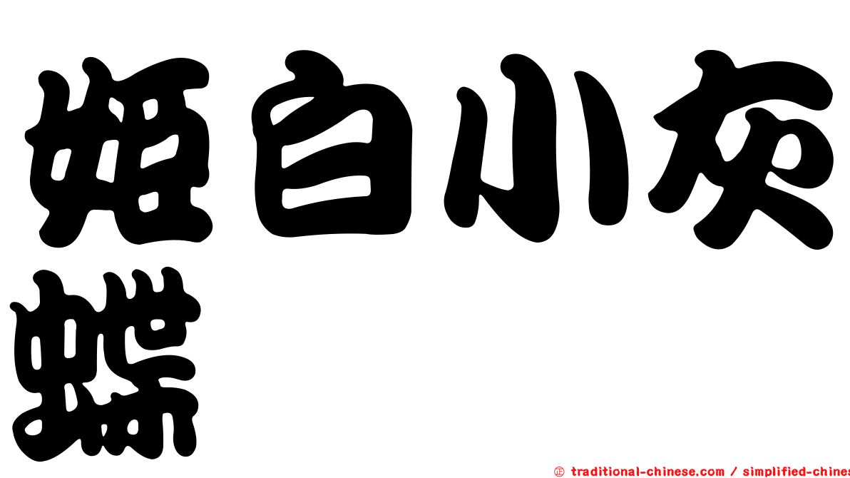 姬白小灰蝶