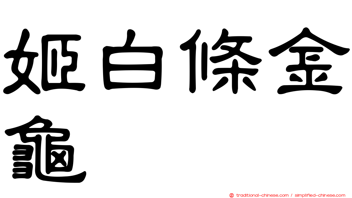 姬白條金龜