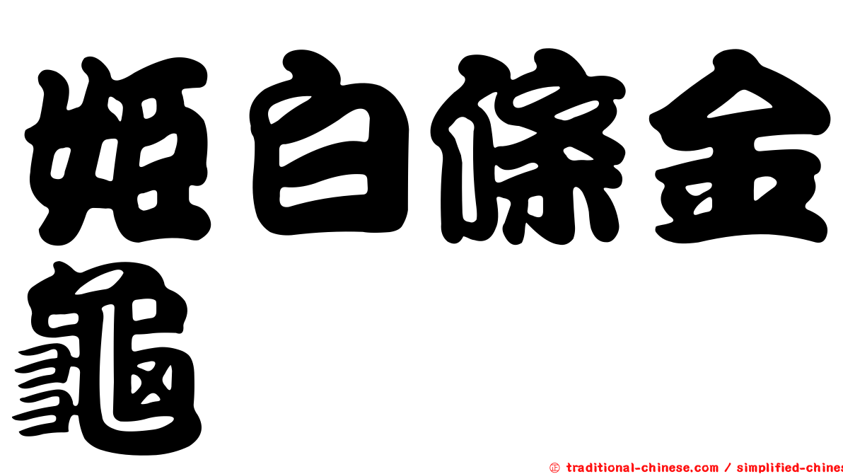 姬白條金龜
