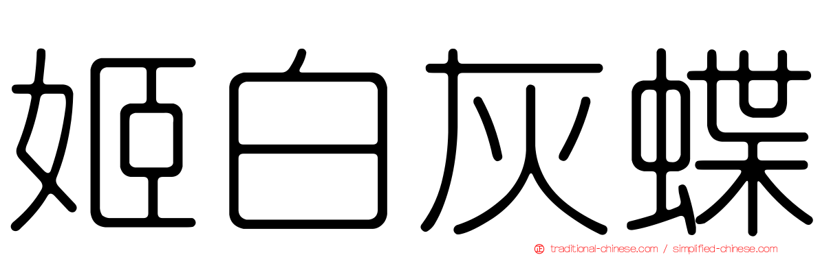 姬白灰蝶