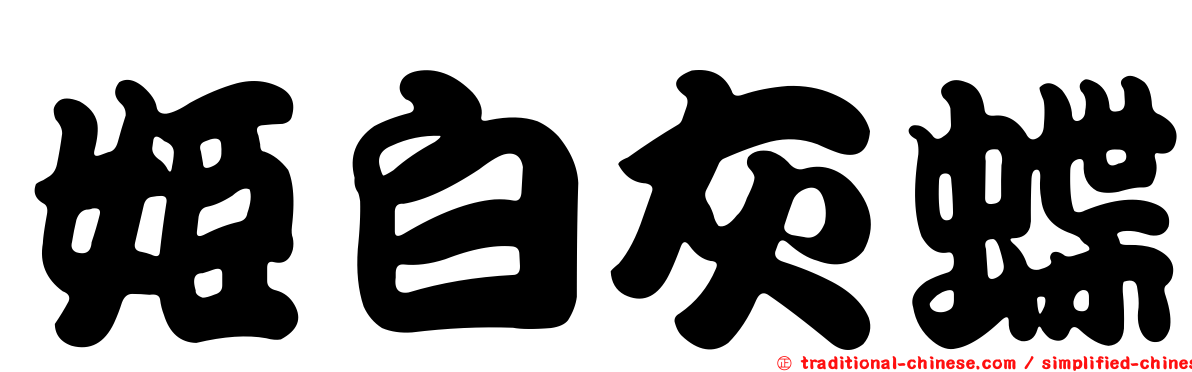 姬白灰蝶