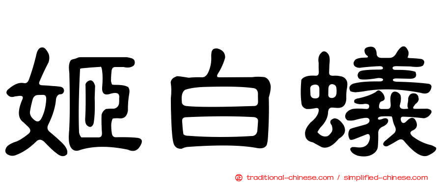 姬白蟻