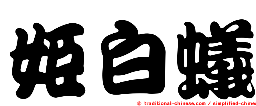 姬白蟻