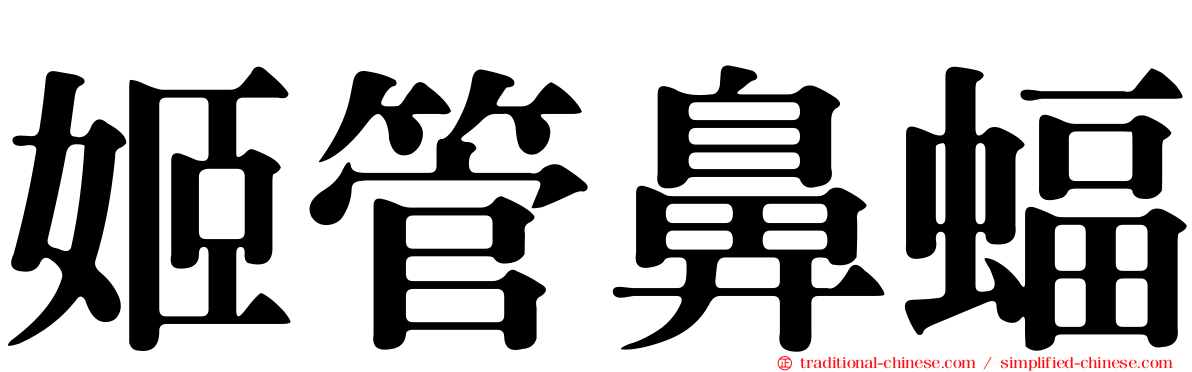姬管鼻蝠