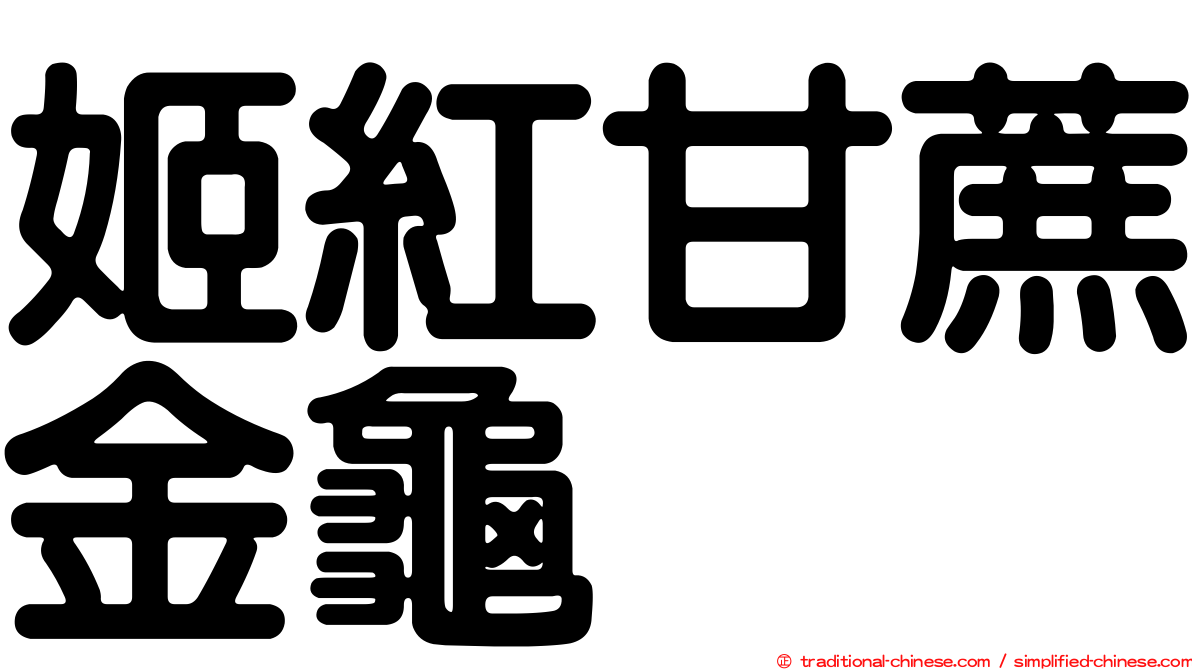 姬紅甘蔗金龜