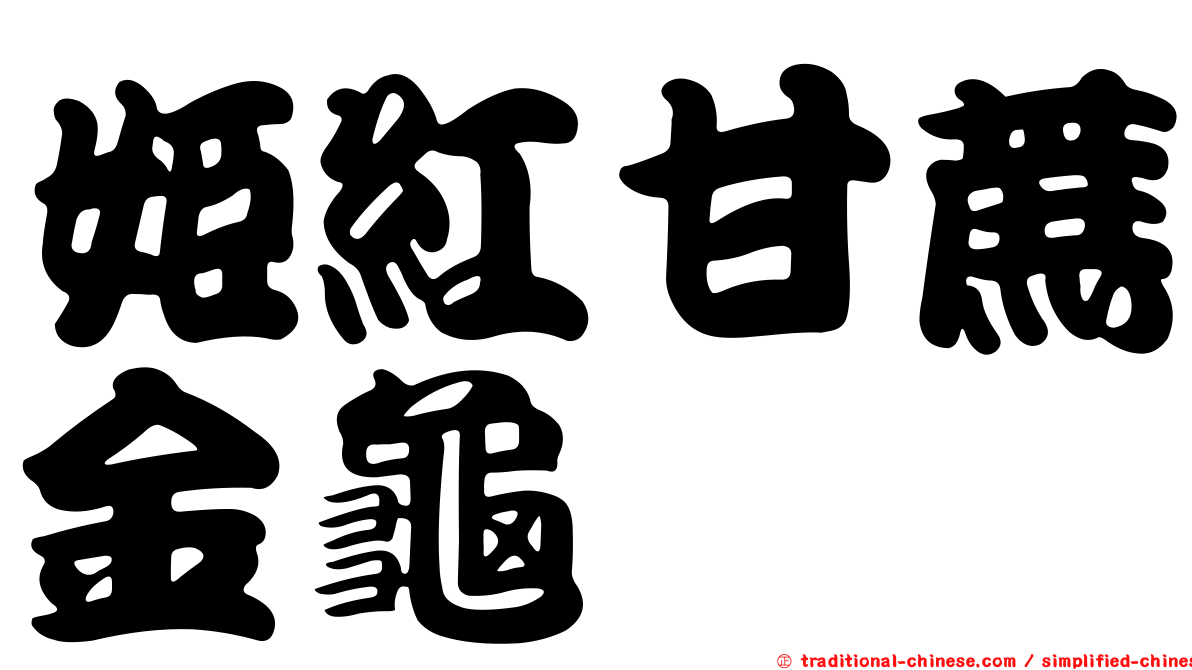 姬紅甘蔗金龜