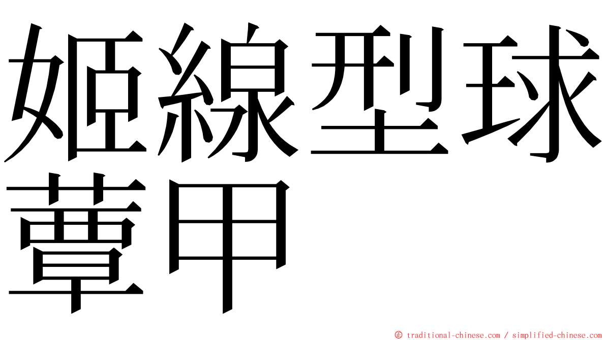 姬線型球蕈甲 ming font