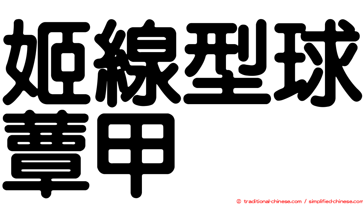 姬線型球蕈甲