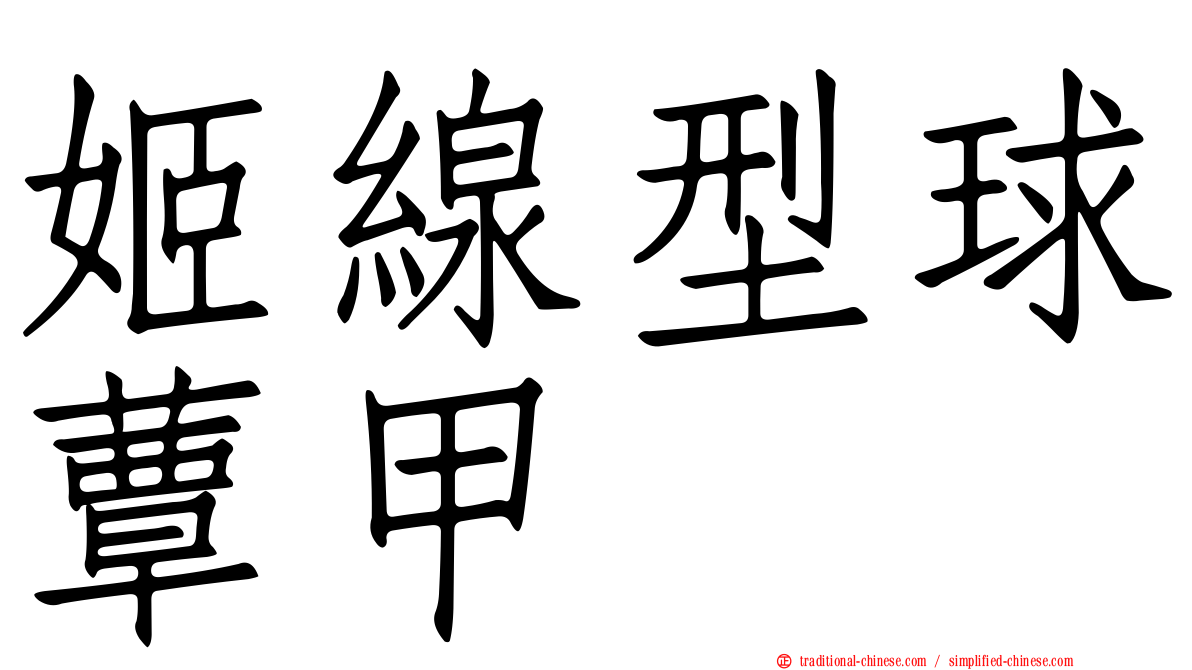 姬線型球蕈甲