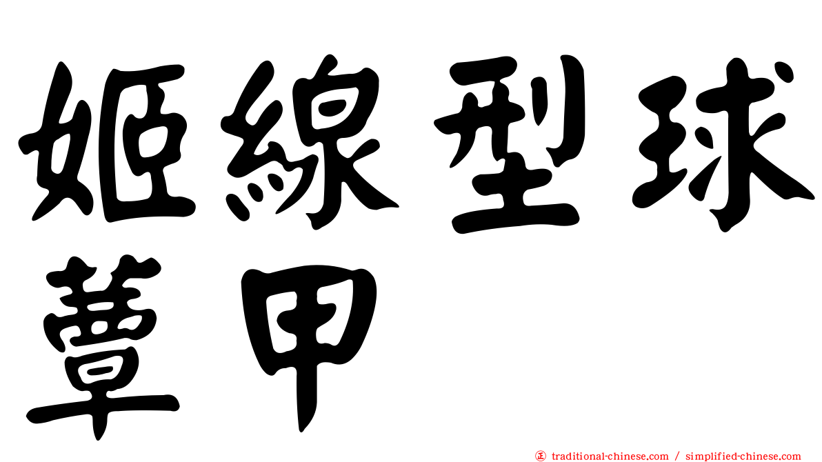 姬線型球蕈甲