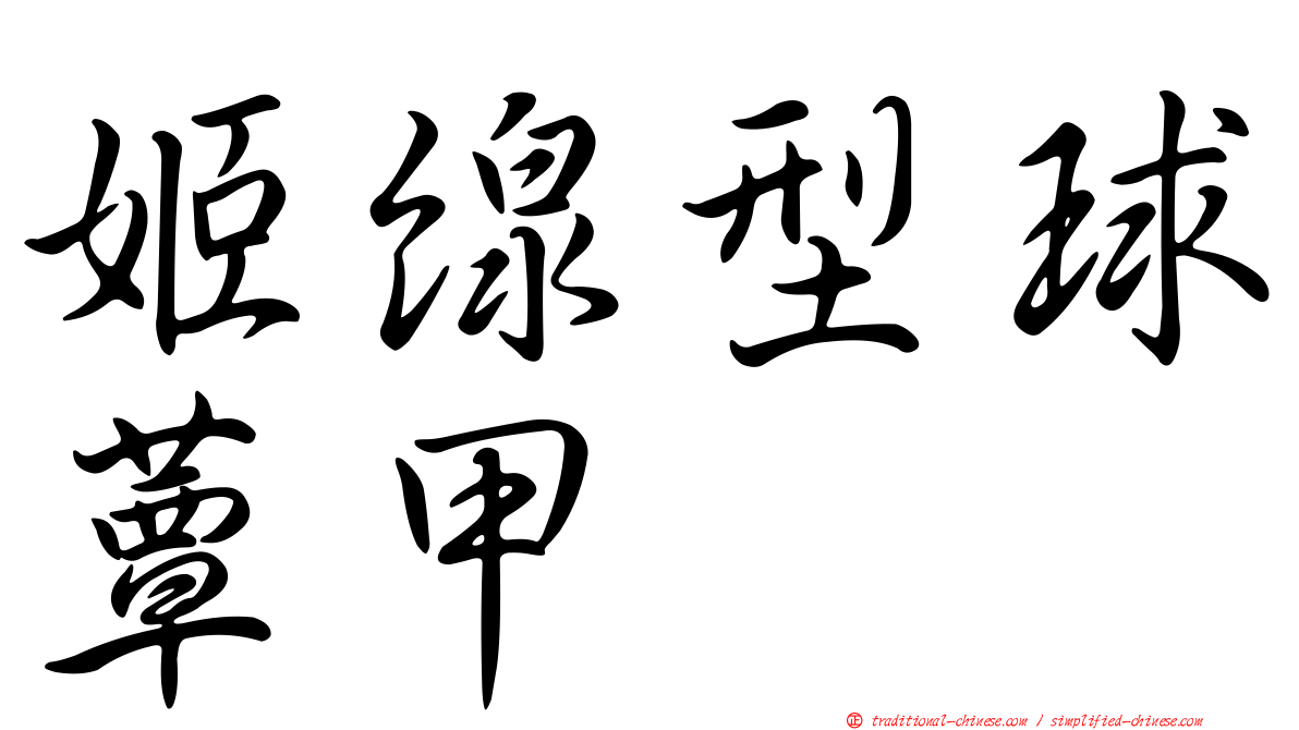 姬線型球蕈甲