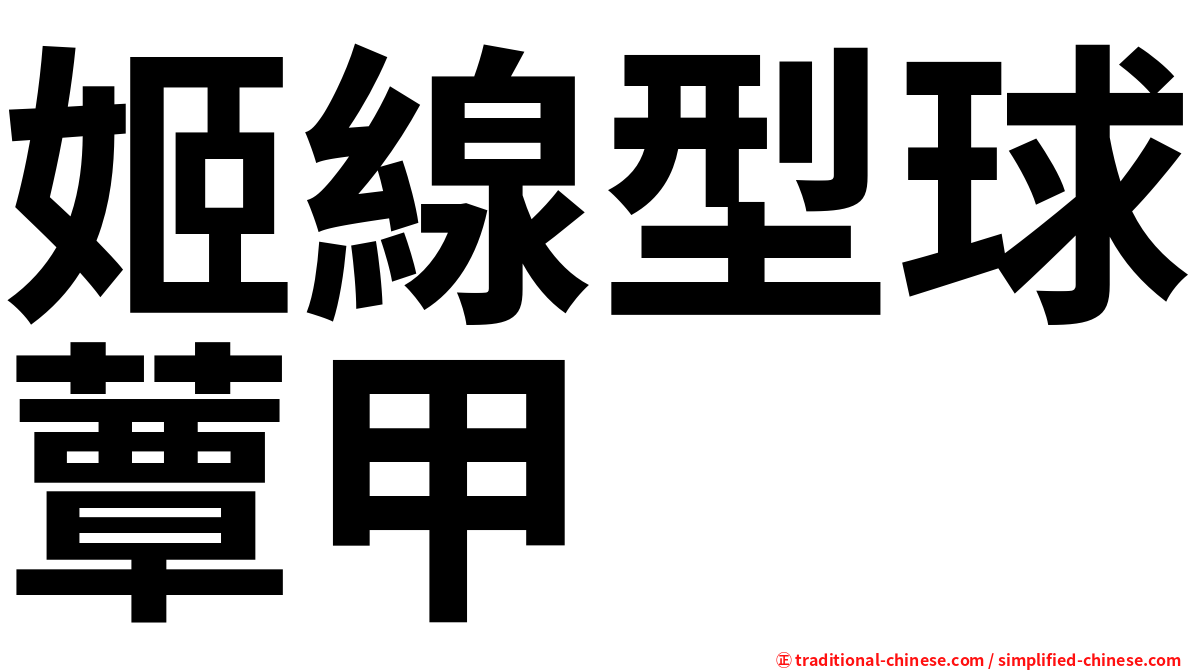 姬線型球蕈甲