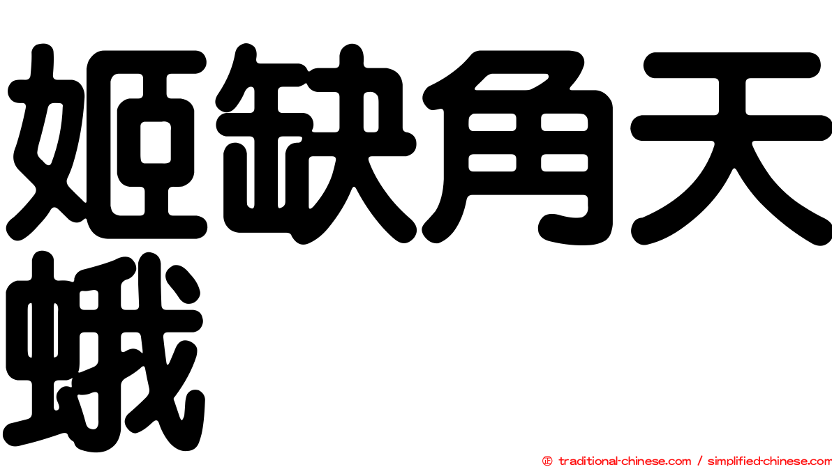 姬缺角天蛾