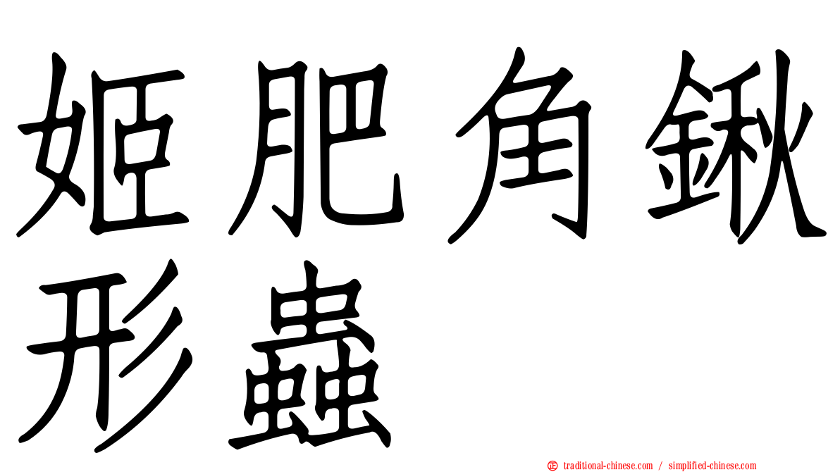 姬肥角鍬形蟲