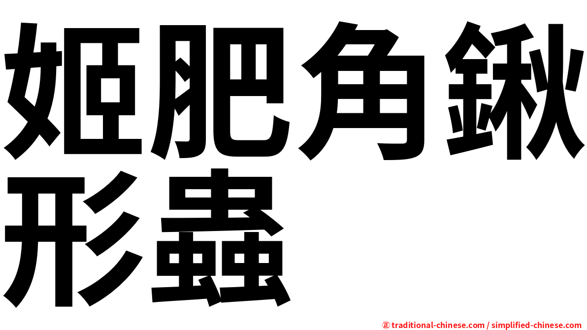 姬肥角鍬形蟲