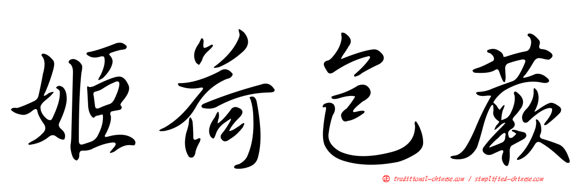 姬荷包蕨