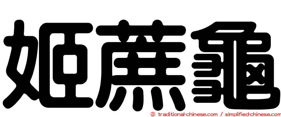 姬蔗龜