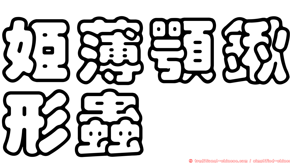 姬薄顎鍬形蟲
