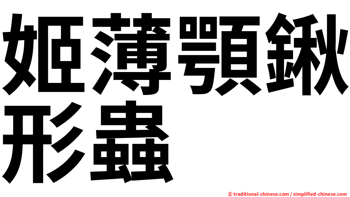 姬薄顎鍬形蟲