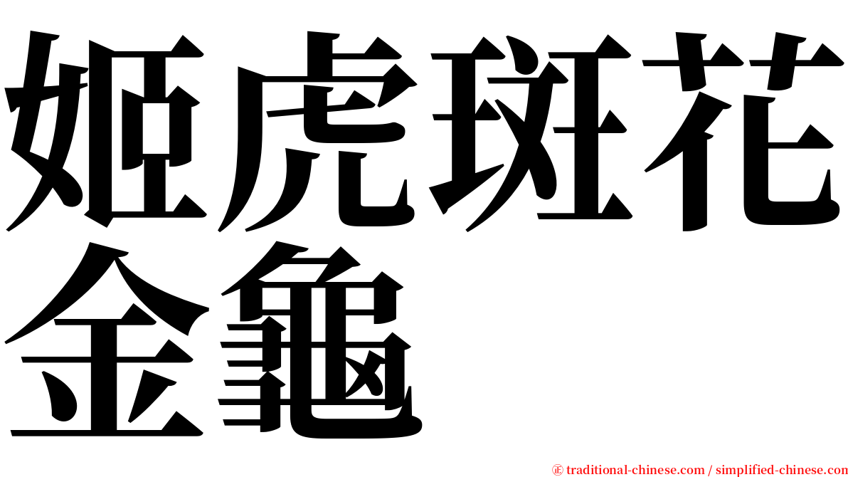 姬虎斑花金龜 serif font
