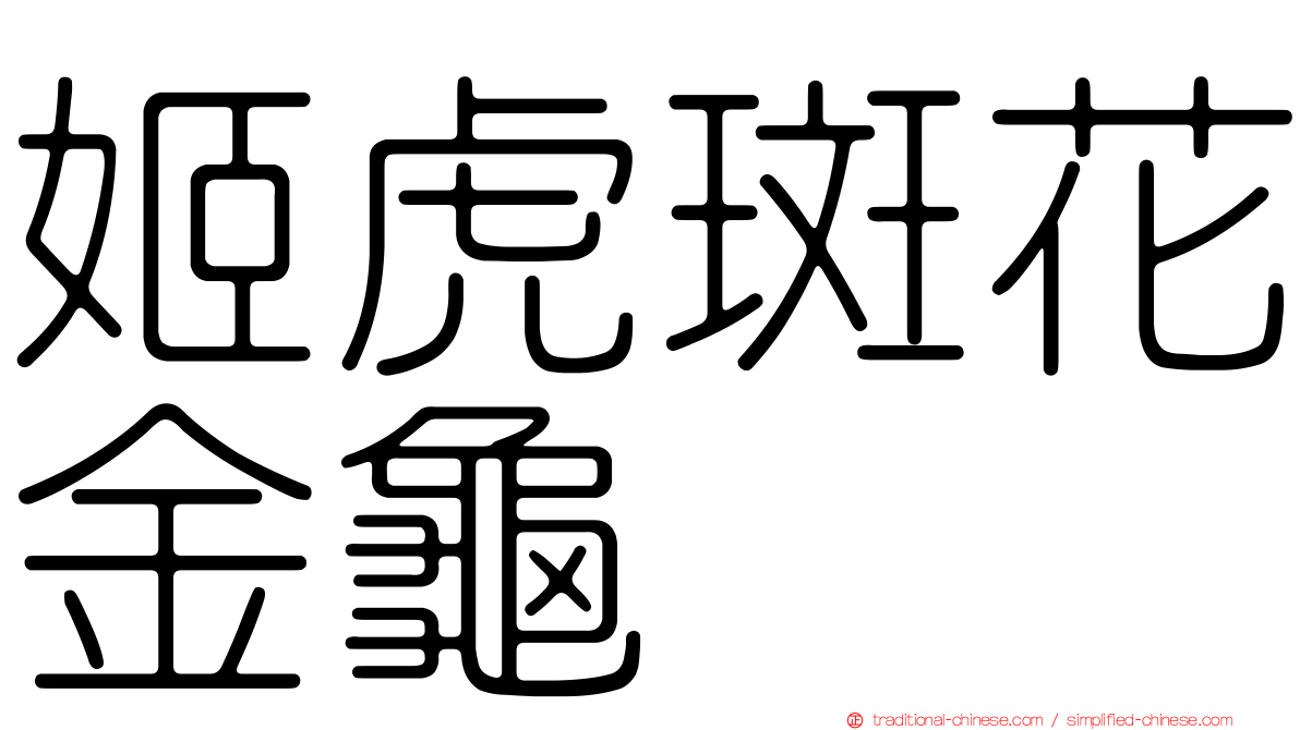 姬虎斑花金龜