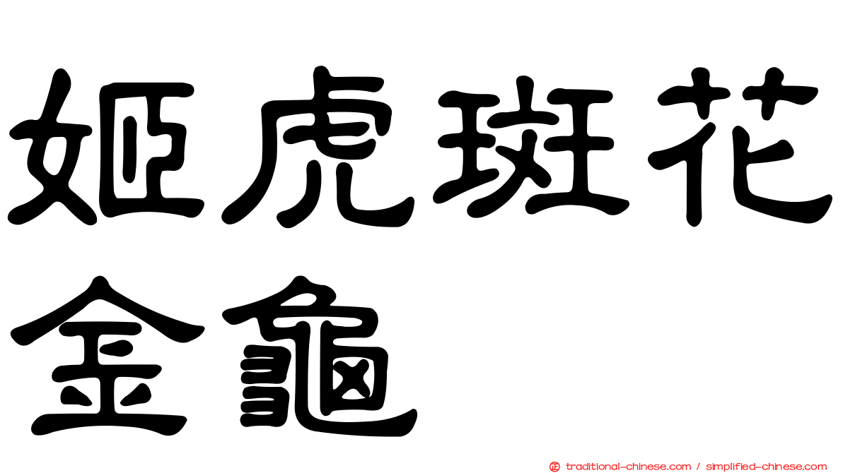 姬虎斑花金龜